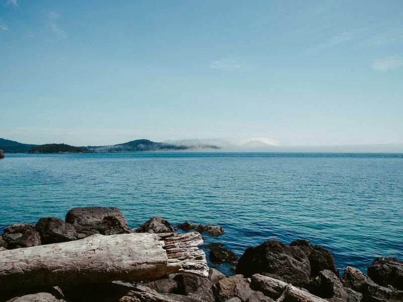 Wildlife & Nature Photography