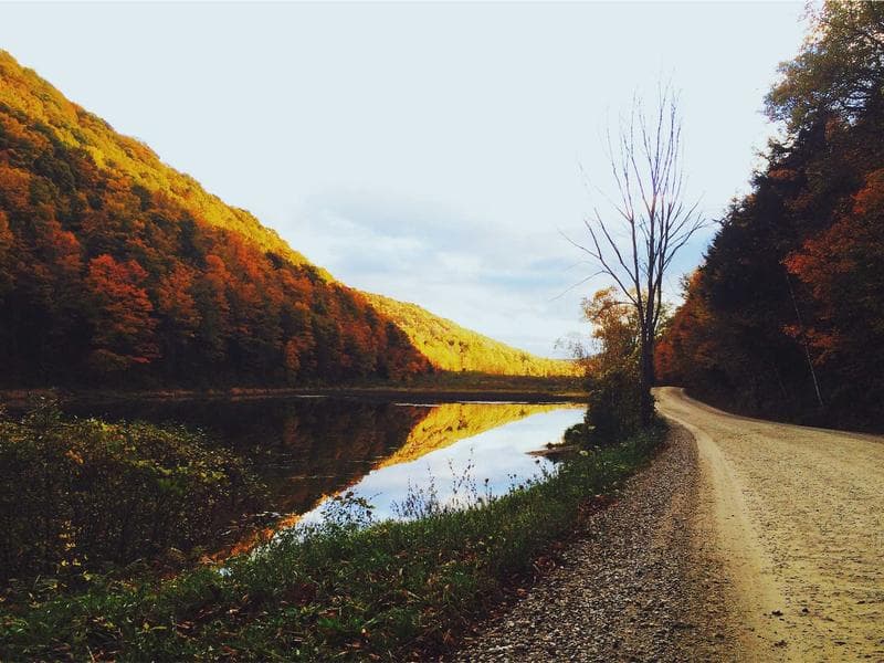 Blender 3D Modeling Complete