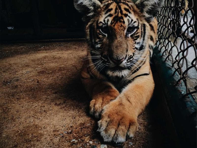 Typography That Works